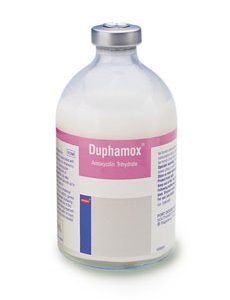 Duphamox 150 mg/ml Injection 100ml