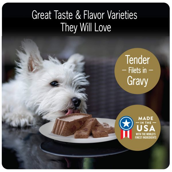 Cesar Gourmet Wet Dog , puppy dog foodFood Variety Packs