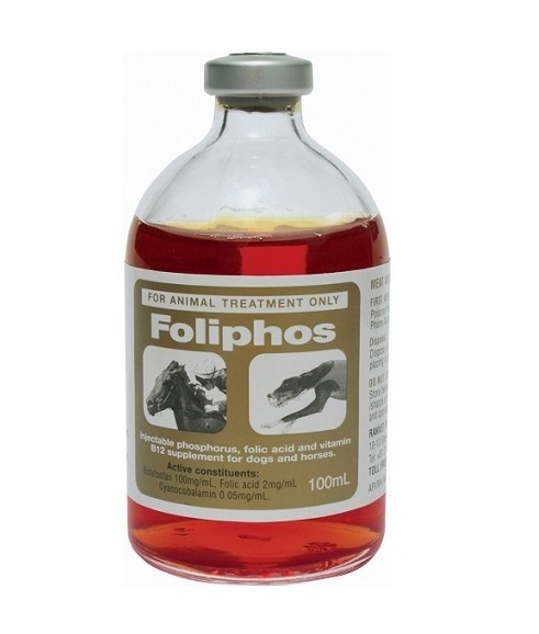 Foliphos, Foliphos Injection, After Race Recovery, Anaemia, Dull Coat, Energy Supplement, Greyhound, Greyhound Supplement, Recovery, Appetite, Fatigue, Stamina,