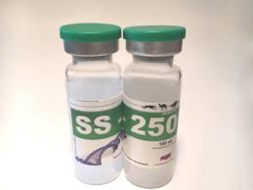 SS-250-injection, SS 250 15ml, طب بيطري, اس اس 250 15 مل, Breathing & Oxygen (التنفس والأكسجين), Energy & Power (طاقة), Most Popular (مهم), most selling - Middle East, ampheta, breath, breathing, camel, explosion, horse, oxygen, power, speed, ss250, stamina, stimulant, ss 250 15ml for sale, SS 250 veterinary injection, veterinary medicine,