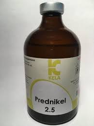 Prednikel 100ml Injection for Animal Use, Prednikel 100ml Injection , Prednikel for horses, Prednikel,