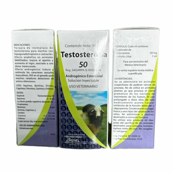 Testosterone replacement therapy for hypogonadal or castrated males.