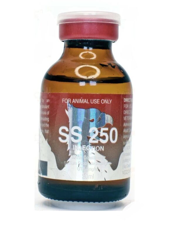 SS 250 20ml, SS 250, SS 250 injection, ampheta, breath, breathing, camel, explosion, horse, oxygen, power, speed, ss250, stamina, stimulant, Buy SS 250 injection online, SS 250 20ml for sale, SS 250 injection for horses, SS 250 20ml for camels,