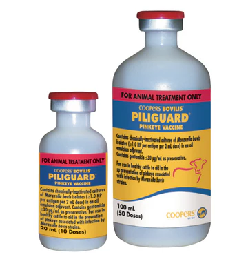 Pinkeye Vaccination for Animals, coopers piliguard, coopers piliguard for animal use, Piliguard Vaccine, pinkeye-1 trivalent vaccine, Coopers Piliguard Pinkeye-1 Trivalent Vaccine for cattle, Pink eye vaccine cattle,