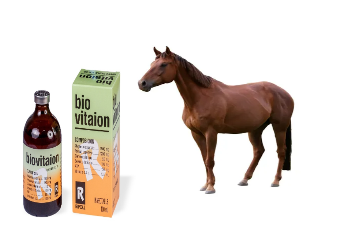 bio vitation, Bio Vitaion Veterinary Medicine, Veterinary Medicine, Bio Vitaion injection for horses,