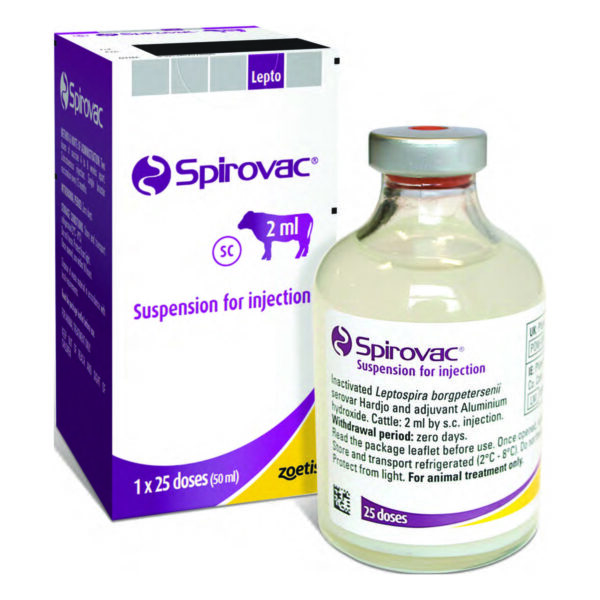 Spirovac, Spirovac 2ml, Spirovac vaccine, Spirovac injection, Lepto vaccine cattle, Spirovac for cattle, Spirovac for animal use,