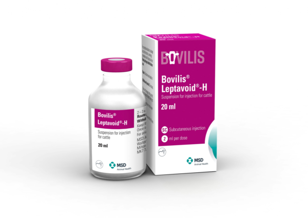 Leptavoid-H, Leptavoid H 50ml, Leptavoid H 20ml, Leptavoid H dosage, Leptavoid-H Suspension for injection, Leptavoid-H Vaccine, Buy Leptavoid-H Vaccine Online, Leptavoid-H for cattle, Bovilis Leptavoid-H,