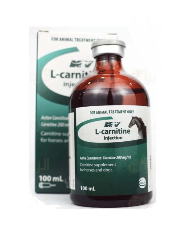 L-carnitine 100ml, L-carnitine injection, L-carnitine 100ml injection, L-carnitine,