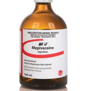 Mepivicaine 100ml, Mepivicaine , Mepivicaine injection, Mepivicaine for horses, Mepivicaine for camel,