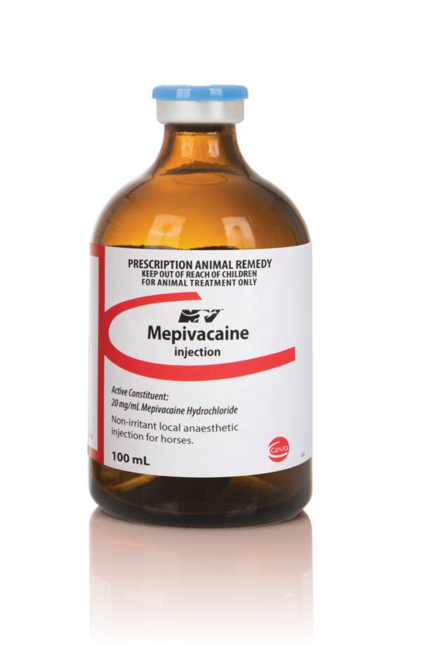 Mepivicaine 100ml, Mepivicaine , Mepivicaine injection, Mepivicaine for horses, Mepivicaine for camel,