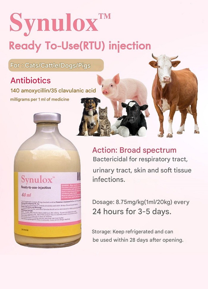 Sinulox Solution for Pets and Livestock, Sinulox Solution, Sinulox injection,