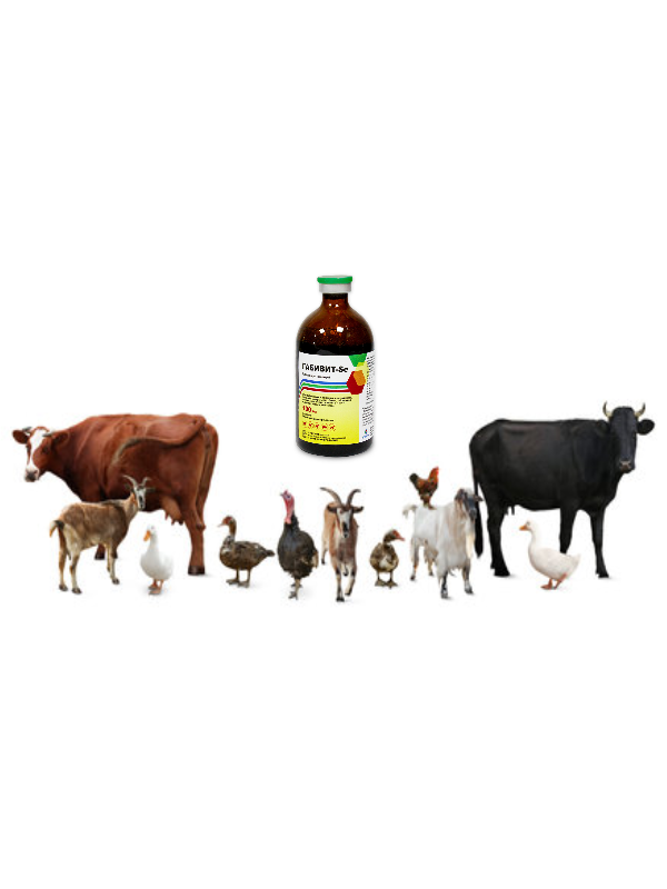 Gabivit-Se 100ml for Farm Animals, Gabivit-Se 100ml, Gabivit-Se injection, ГАБИВИТ-Se,