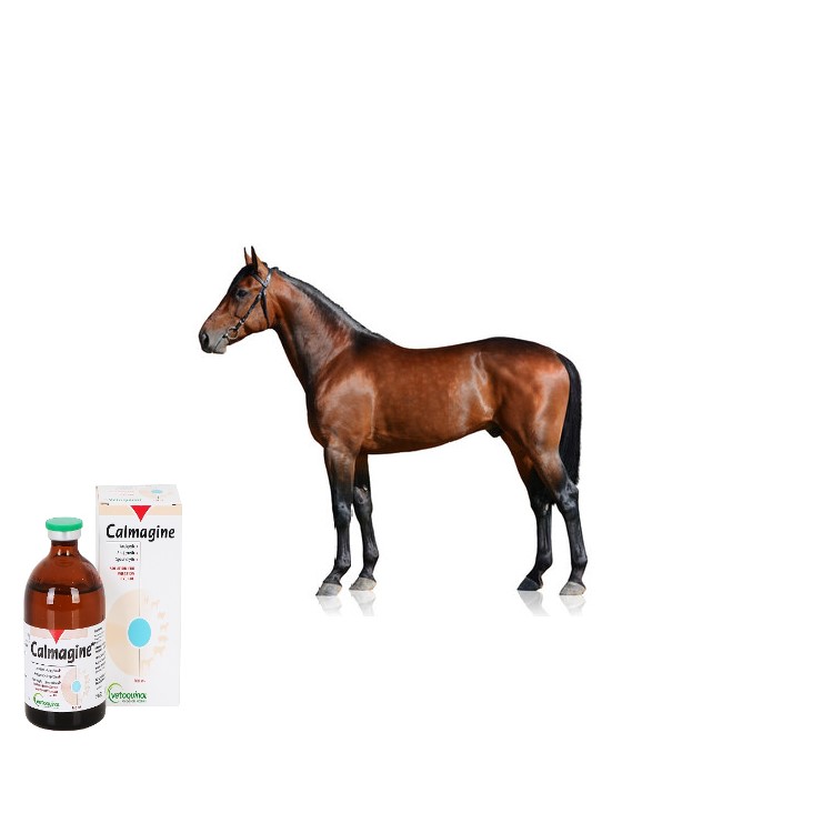 Calmagine For Horses, Horse Calming Supplement , Equine Wellness , Horse Stress Relief, Natural Horse Care , Horse Health, Horse Training, Equine Supplements , Horse Lovers