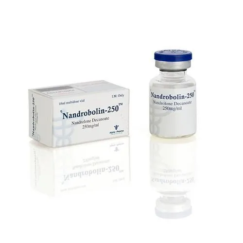 nandrobolin 250, Retabolil, Deca-Durabolin, 19-nortestosterone decanoate, Nandrolone Decanoate, nandrobolin 250, Retabolil, Deca-Durabolin, 19-nortestosterone decanoate, Nandrolone Decanoate,
