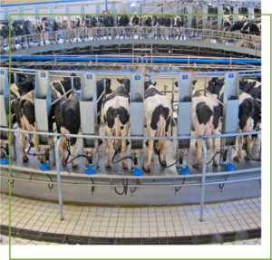 Posilac Sterile Sometribove Zinc Suspension