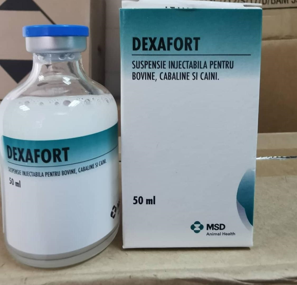 Importance of Dexafort Suspension, Dexafort Suspension,