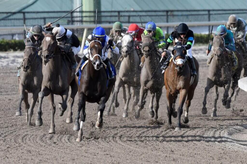 Thoroughbred Racing Solutions, Thoroughbred Racing ,